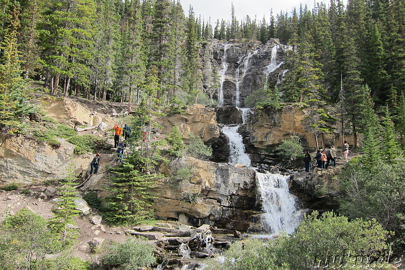 Tangle Creek Falls - Wasserfall im Jasper National Park, Kanada