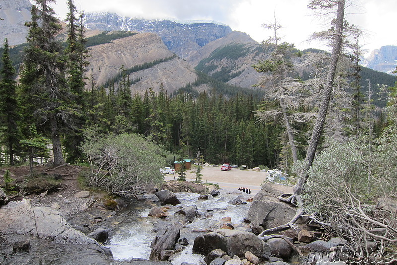 Tangle Creek Falls - Wasserfall im Jasper National Park, Kanada