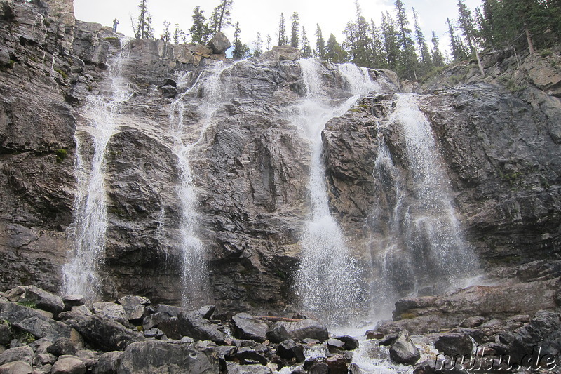 Tangle Creek Falls - Wasserfall im Jasper National Park, Kanada