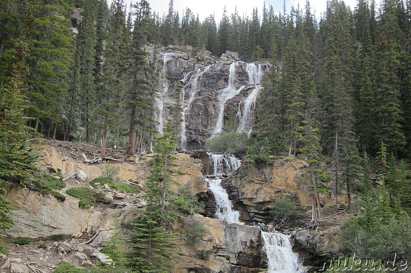 Tangle Creek Falls - Wasserfall im Jasper National Park, Kanada