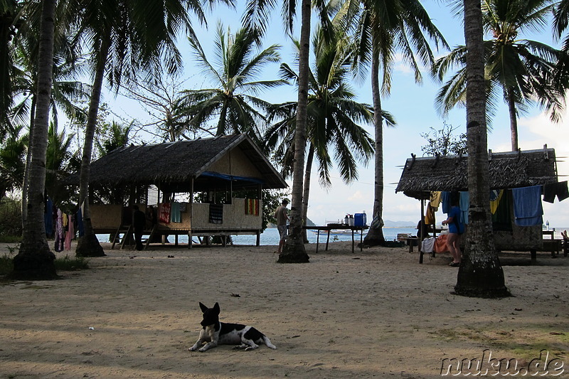 Tao Philippines Strandcamp - Unterkunft am dritten Tag