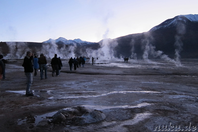 Tatio Geisers in der Atacamawüste, Chile