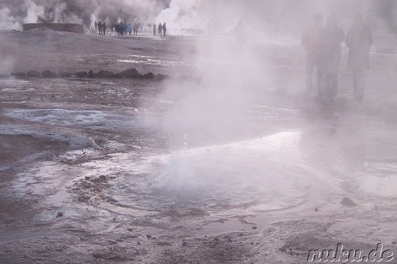 Tatio Geisers in der Atacamawüste, Chile