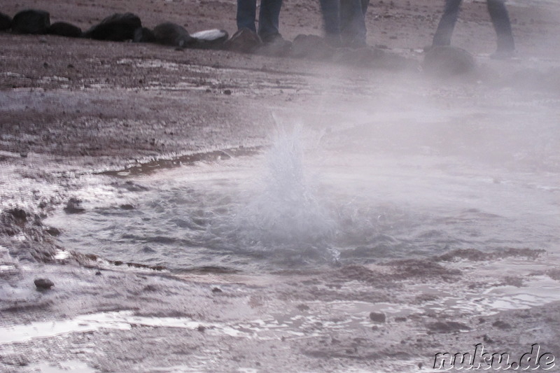 Tatio Geisers in der Atacamawüste, Chile