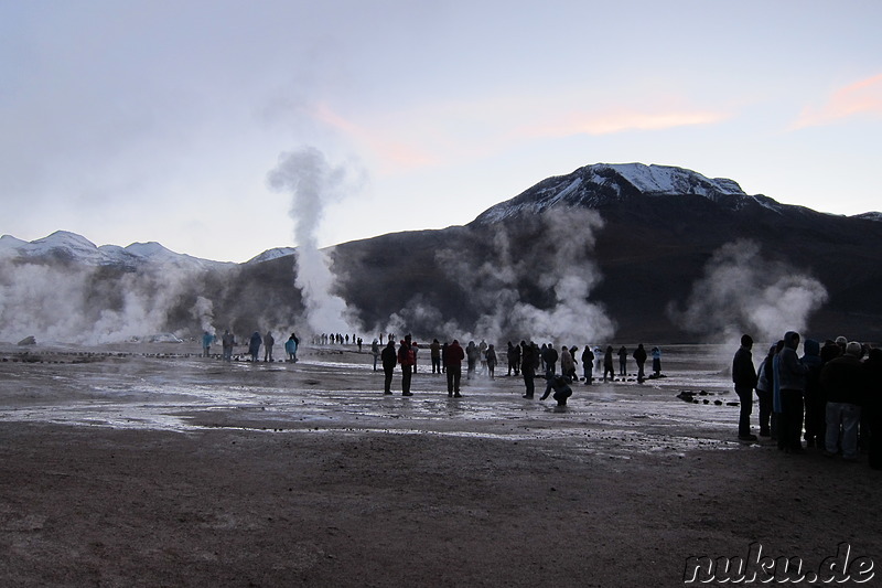 Tatio Geisers in der Atacamawüste, Chile