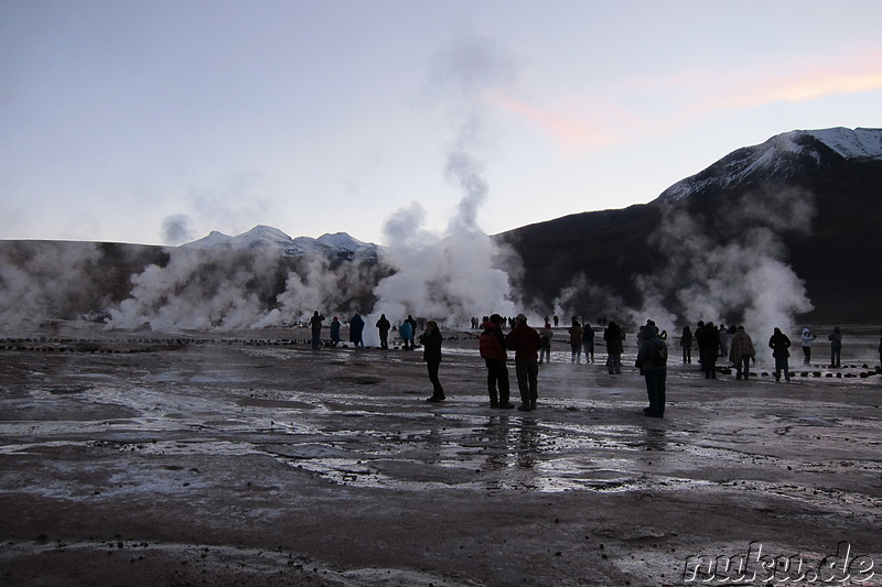 Tatio Geisers in der Atacamawüste, Chile