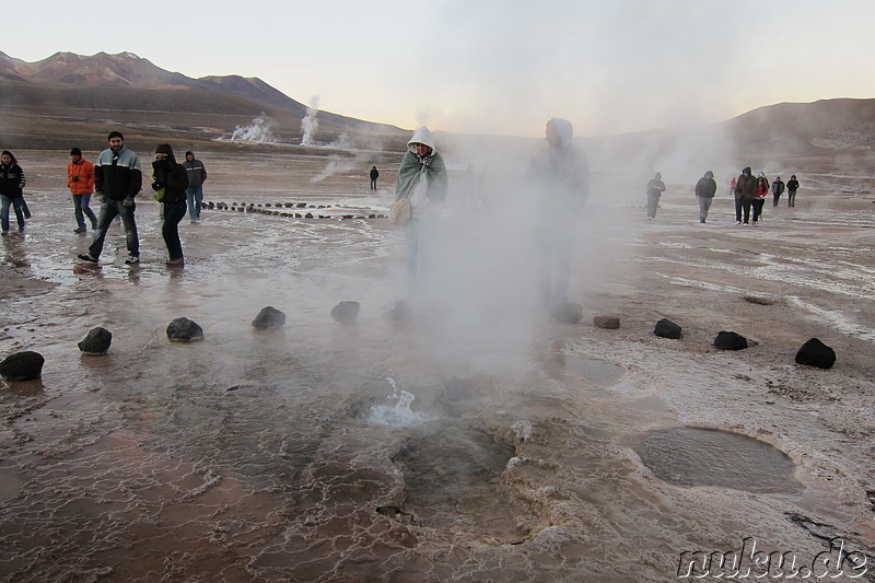 Tatio Geisers in der Atacamawüste, Chile