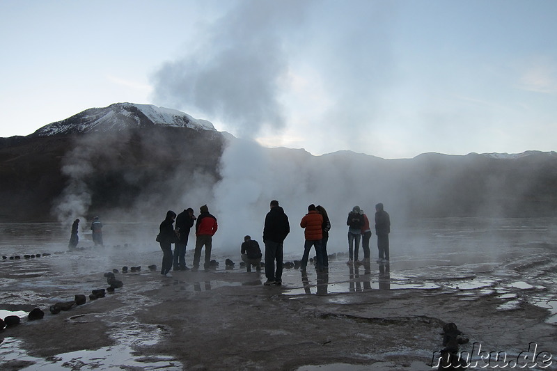 Tatio Geisers in der Atacamawüste, Chile