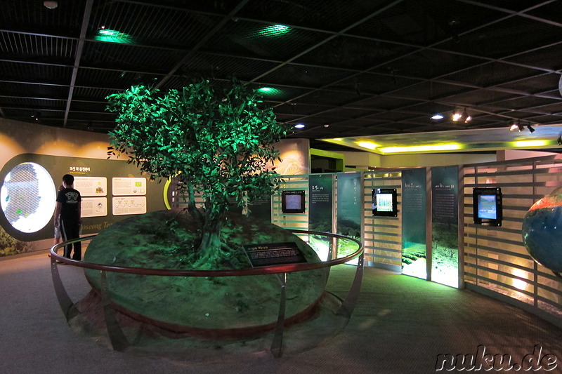 Tea Museum of Korea in Boseong, Jeollanamdo, Korea