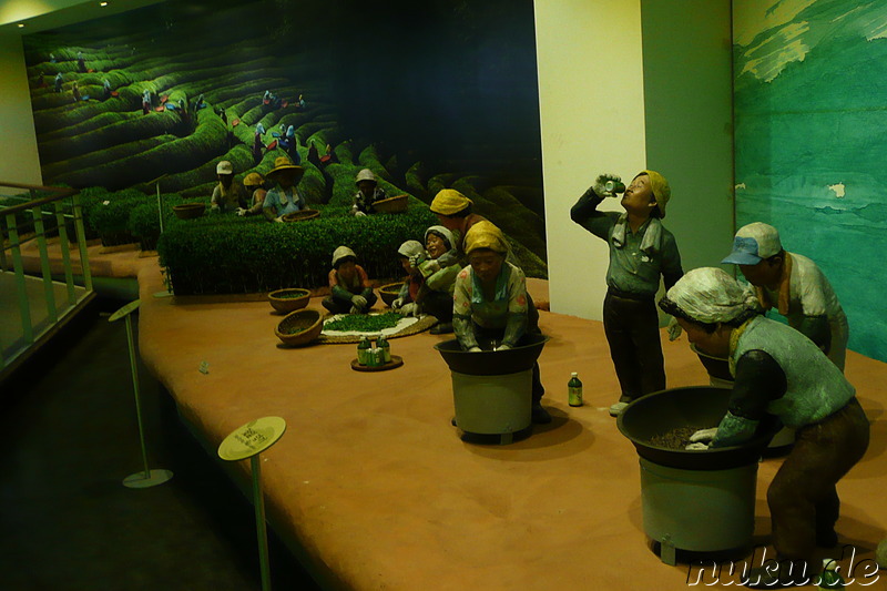 Tea Museum of Korea in Boseong, Jeollanamdo, Korea