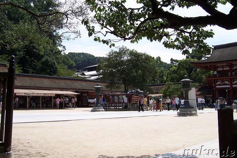 Tenman-gu Shrine, Dazaifu