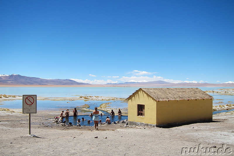 Termas de Polques am Salar de Chalviri, Uyuni, Bolivien