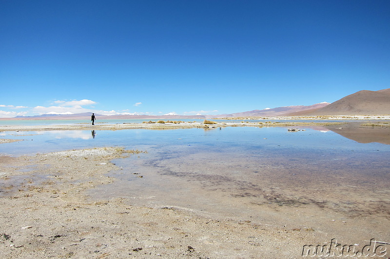 Termas de Polques am Salar de Chalviri, Uyuni, Bolivien