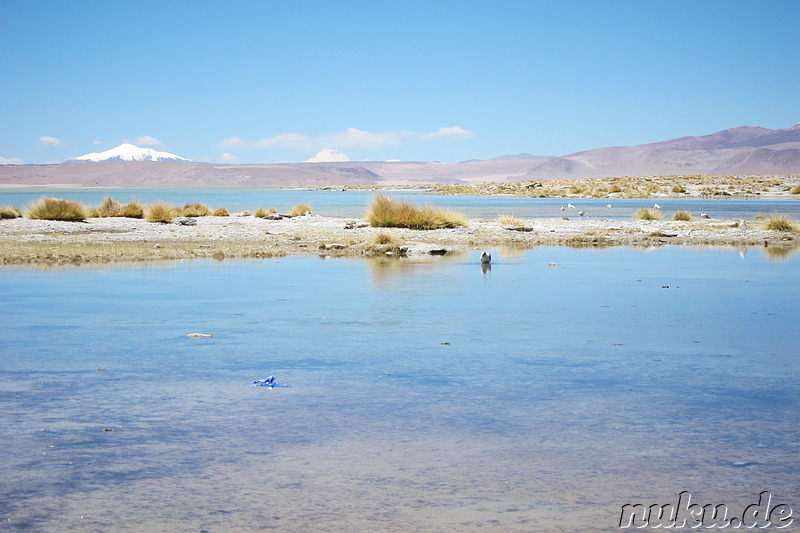 Termas de Polques am Salar de Chalviri, Uyuni, Bolivien