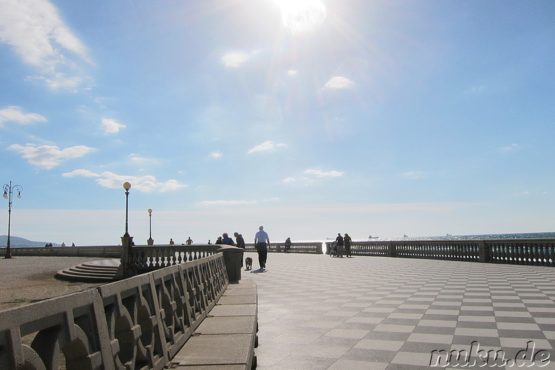 Terrazza Mascagni - Terrasse in Livorno, Italien