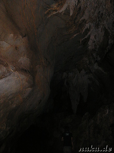 Tham Hoi (Snail Cave) in Laos