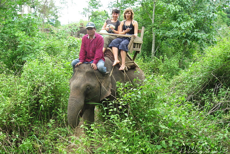 Touristen auf einem Elefant