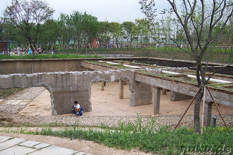 Ttuckseom Seoul Forest