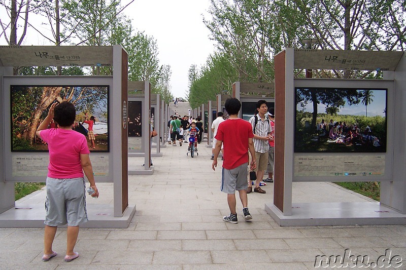 Ttuckseom Seoul Forest, Fotoausstellung