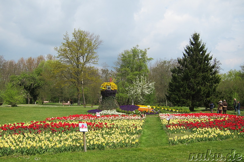 Tulpenfest 2015 in Winsen Luhe, Niedersachsen