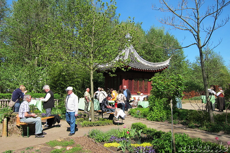 Tulpenfest in Winsen/Luhe