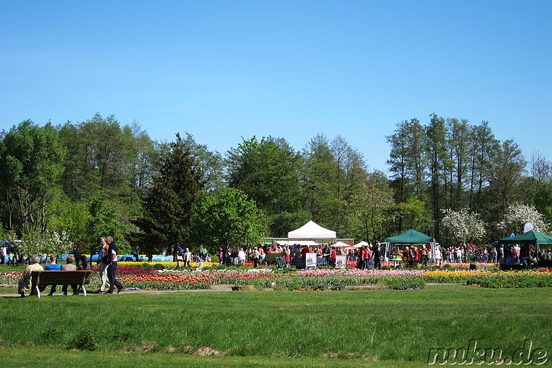 Tulpenfest in Winsen/Luhe