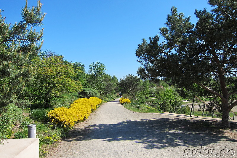 Tulpenfest in Winsen/Luhe