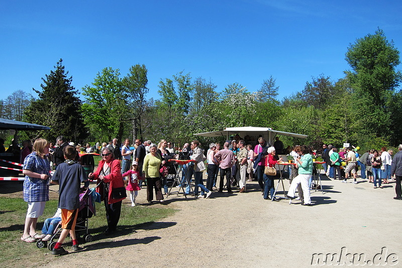 Tulpenfest in Winsen/Luhe