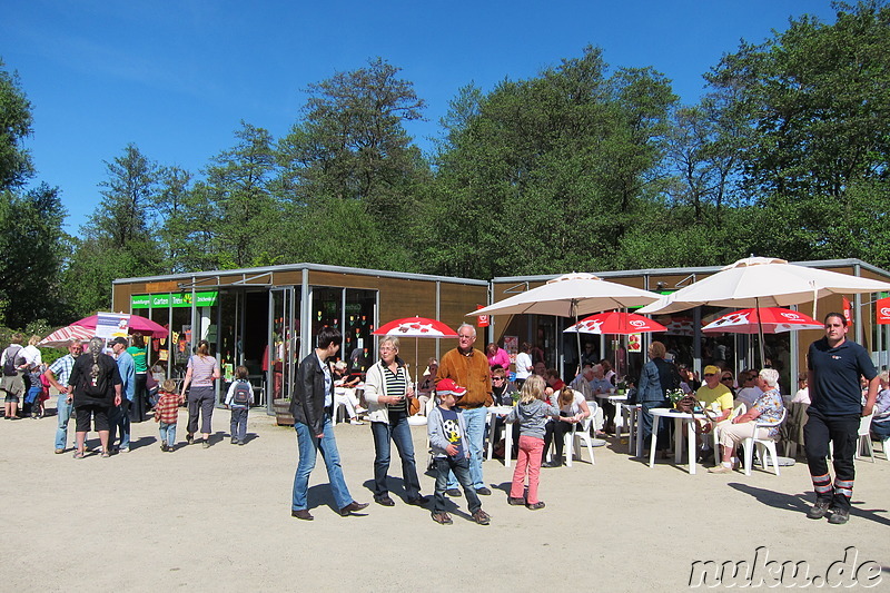 Tulpenfest in Winsen/Luhe