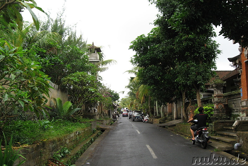 Ubud, Bali, Indonesien