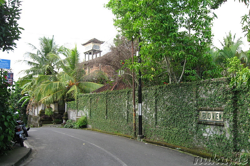 Ubud View Hostel, Ubud, Bali, Indonesien