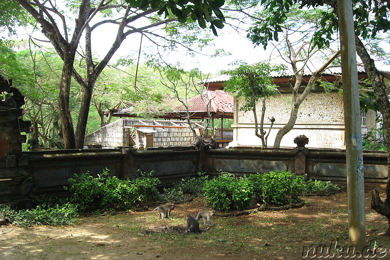 Ulu Watu - Tempel der Affen (Bali, Indonesien)