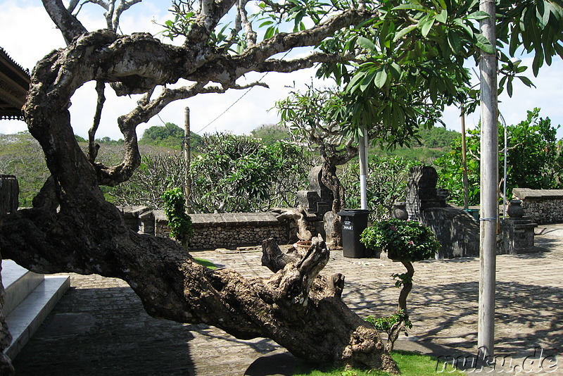 Ulu Watu - Tempel der Affen (Bali, Indonesien)