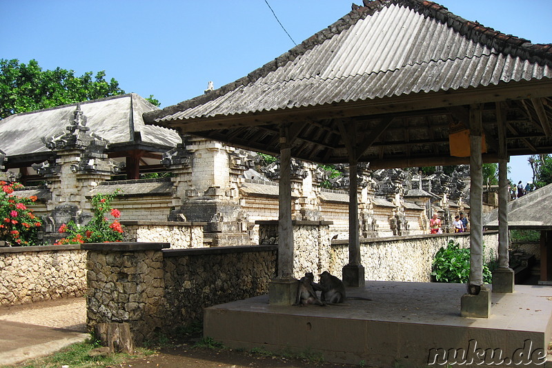 Ulu Watu - Tempel der Affen (Bali, Indonesien)