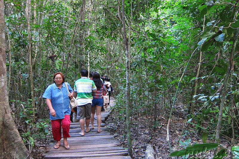 Underground River (Subterranean River National Park) in Sabang, Palawan, Philippinen