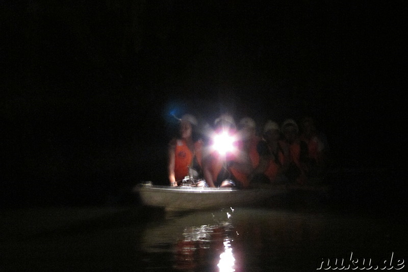 Underground River (Subterranean River National Park) in Sabang, Palawan, Philippinen