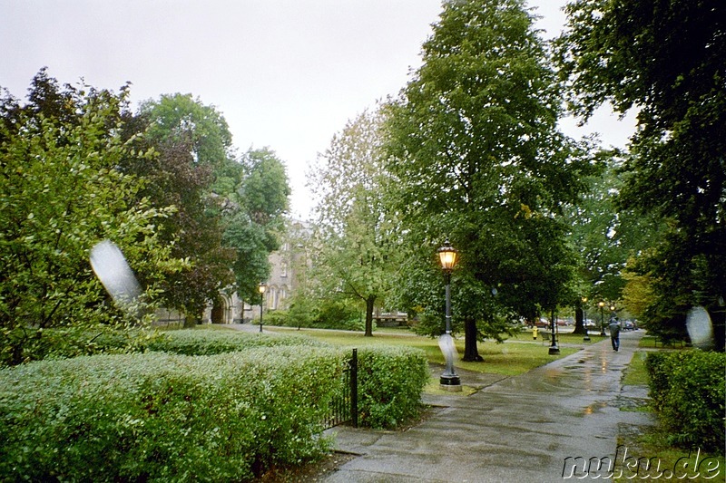 Universitätsviertel und Campus in Toronto, Kanada