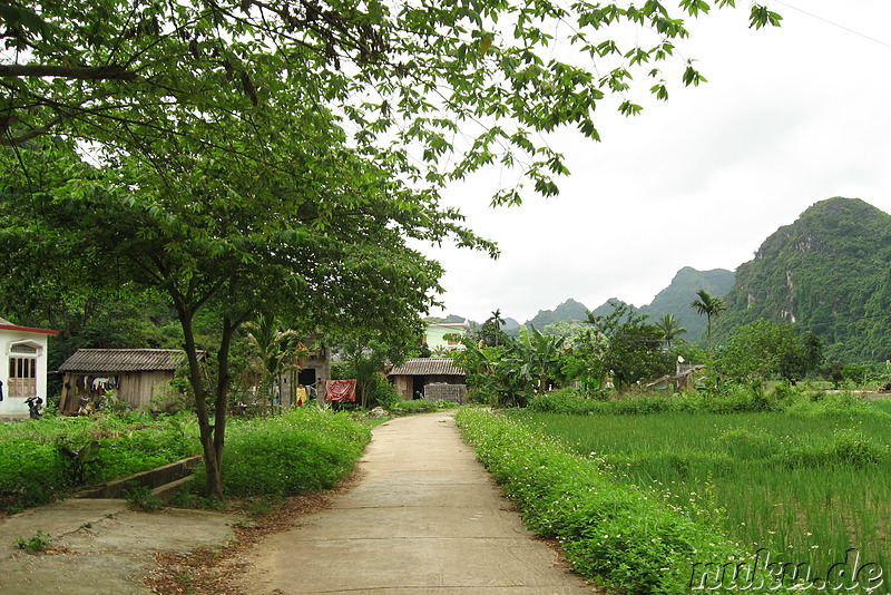 Vietnamesisches Dorf