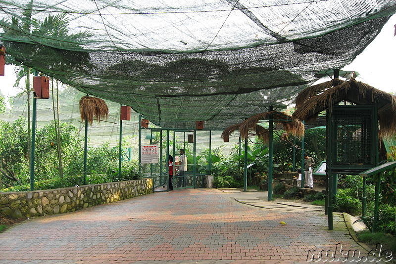 Vogelpark Lake Gardens in Kuala Lumpur, Malaysia