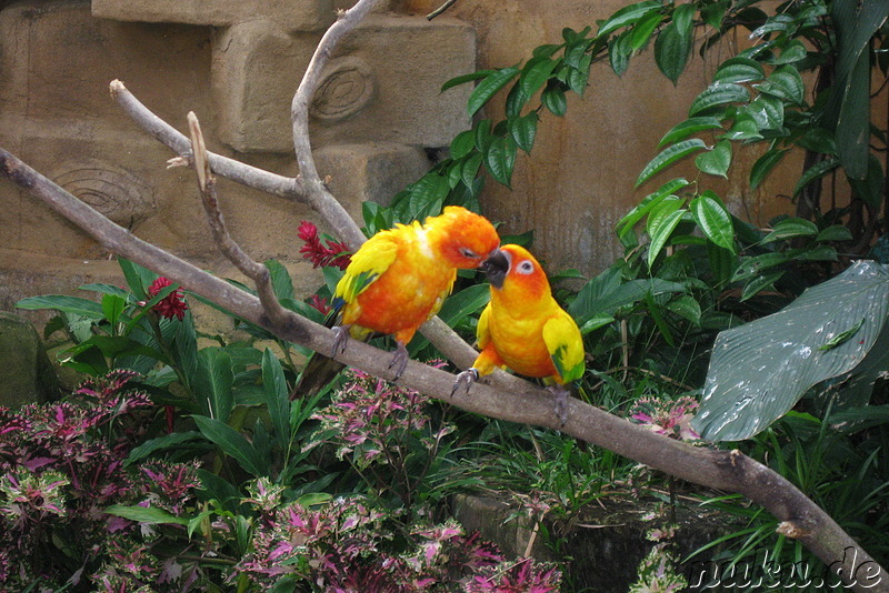 Vogelpark Lake Gardens in Kuala Lumpur, Malaysia