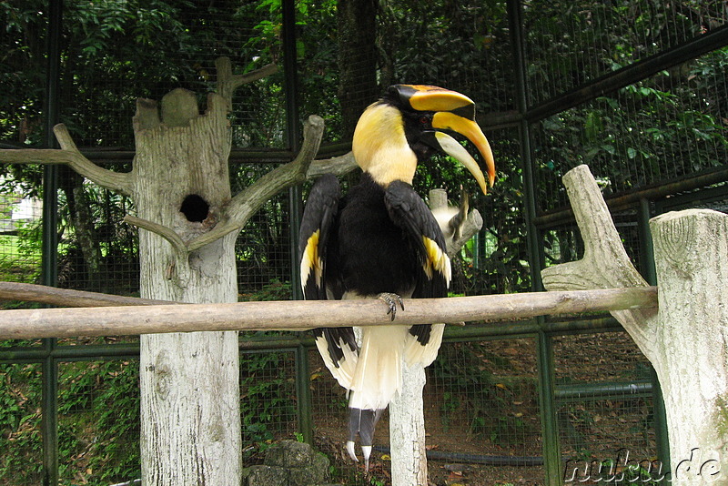 Vogelpark Lake Gardens in Kuala Lumpur, Malaysia