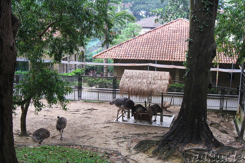 Vogelpark Lake Gardens in Kuala Lumpur, Malaysia