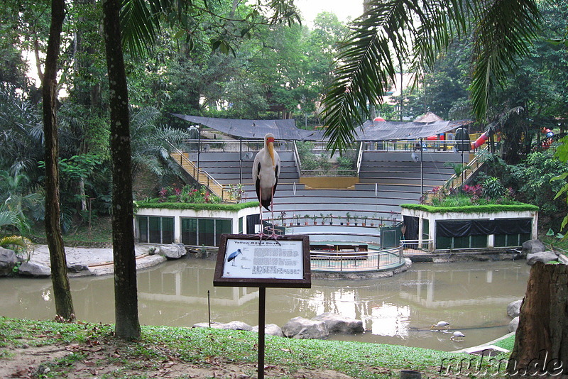 Vogelpark Lake Gardens in Kuala Lumpur, Malaysia