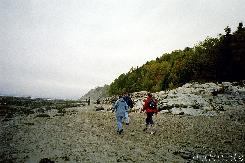 Wandern am Strand von Tadoussac, Kanada