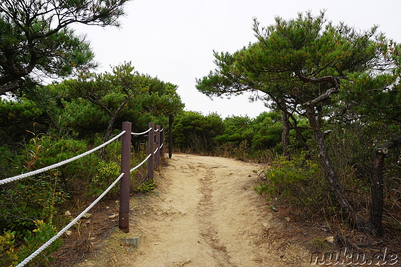 Wanderpfad Badanurikil auf der Insel Somuuido, Korea