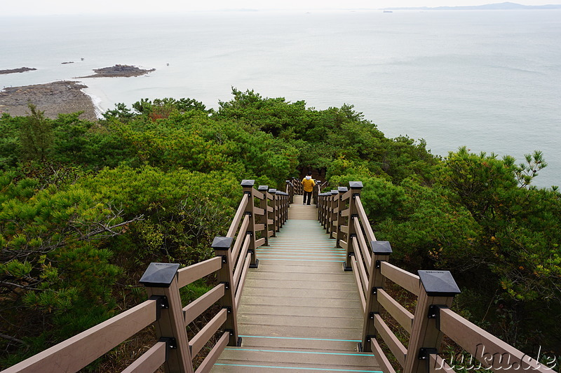 Wanderpfad Badanurikil auf der Insel Somuuido, Korea