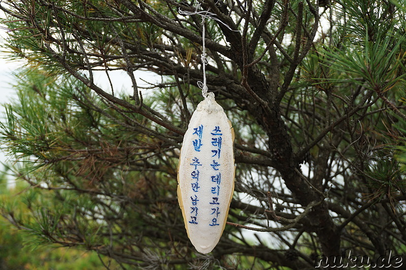 Wanderpfad Badanurikil auf der Insel Somuuido, Korea