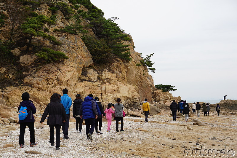 Wanderpfad Badanurikil auf der Insel Somuuido, Korea