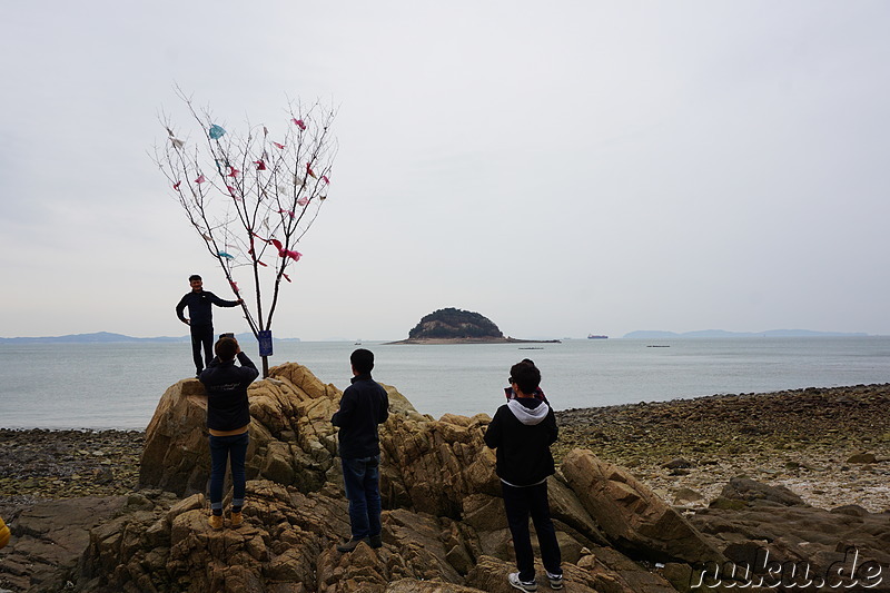 Wanderpfad Badanurikil auf der Insel Somuuido, Korea