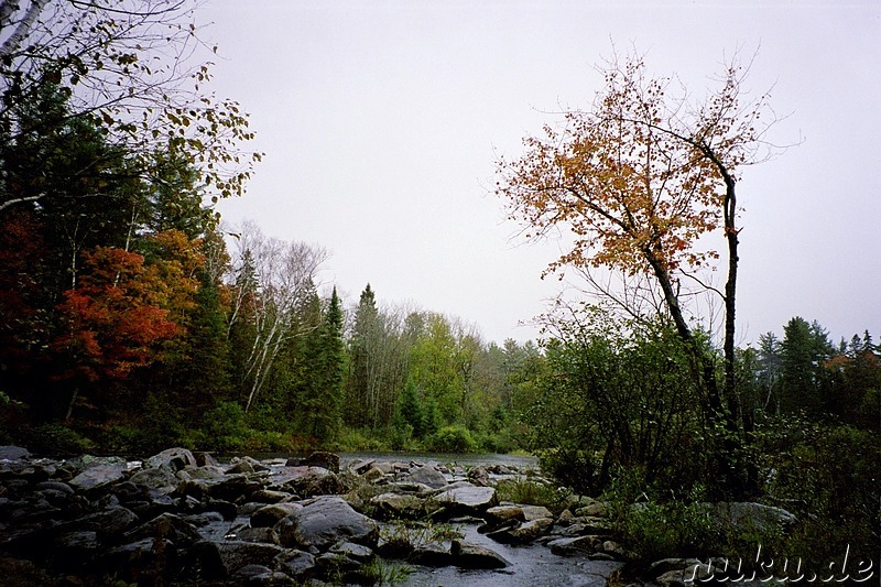 Wanderung im Algonquin Provincial Park in Ontario, Kanada